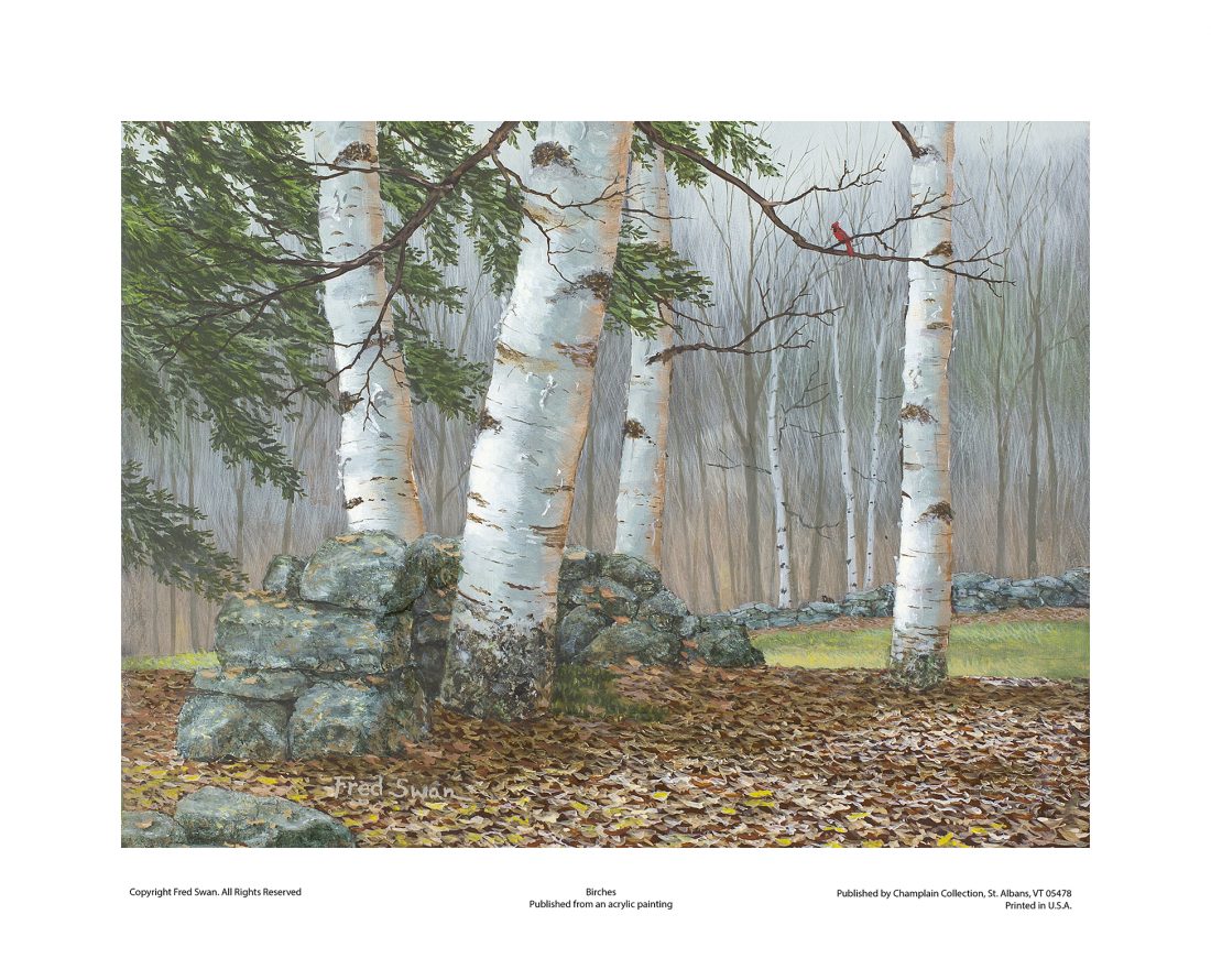 Birches - American Realist Painting by Fred Swan