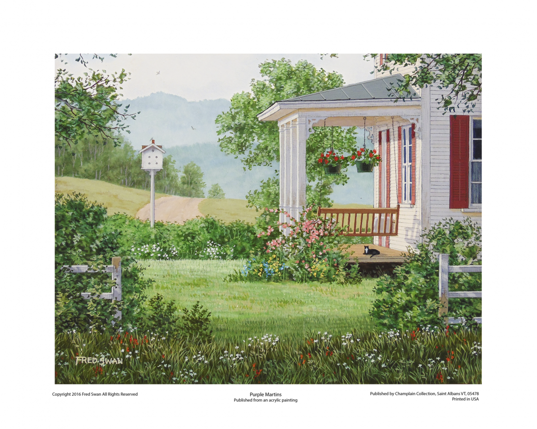 Purple Martins - American Realist Painting by Fred Swan